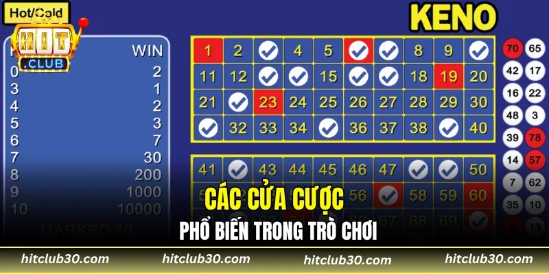 Các cửa cược phổ biến trong trò chơi