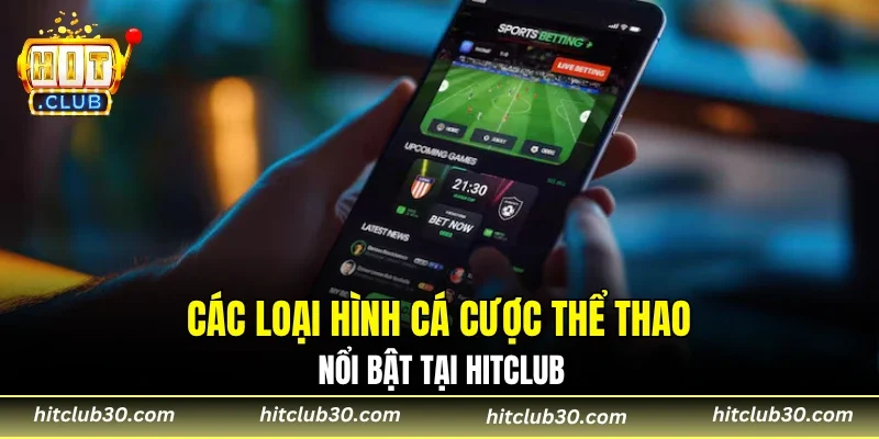 Các loại hình cá cược thể thao nổi bật 2026 tại HITCLUB